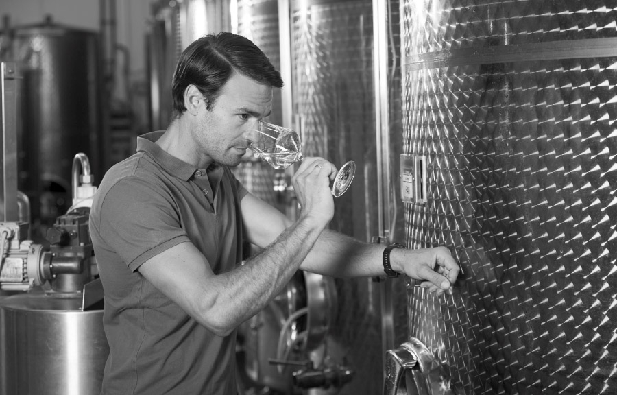 Weingut 3